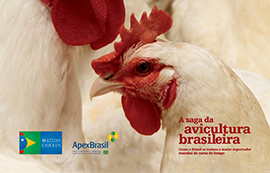 A saga da Avicultura Brasileira